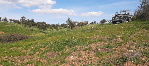 3 bedrooms Castles in Alcacer do Sal, Portugal No. 156612 7