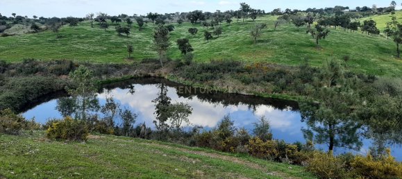 3 bedrooms Castles in Alcacer do Sal, Portugal No. 156612 2