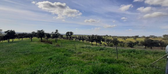 3 bedrooms Castles in Alcacer do Sal, Portugal No. 156612 3