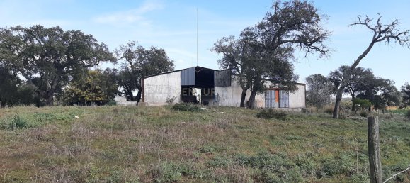 3 bedrooms Castles in Alcacer do Sal, Portugal No. 156612 9