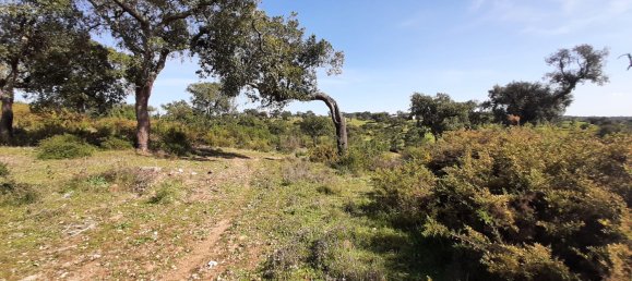 3 bedrooms Castles in Alcacer do Sal, Portugal No. 156612 6