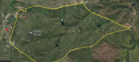 3 bedrooms Castles in Alcacer do Sal, Portugal No. 156612 17