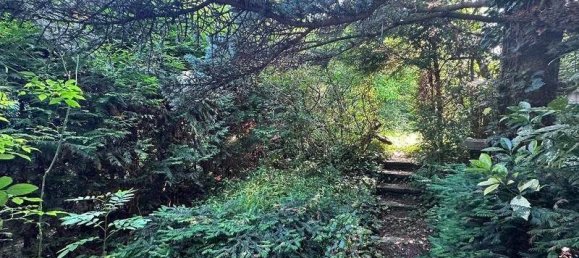 4 غرف نوم منزل في Hietzing, Austria رقم 135947 5