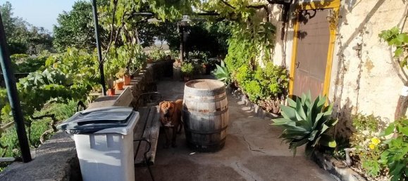 2 Schlafzimmer Haus in Vilaflor, Spain, Nr. 157787 29