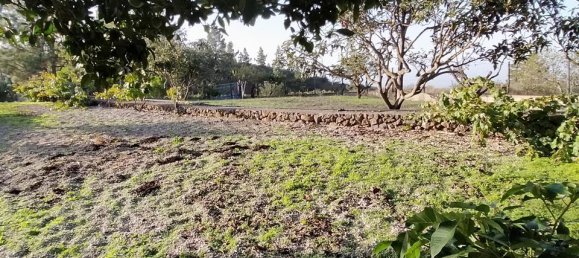 2 Schlafzimmer Haus in Vilaflor, Spain, Nr. 157787 28