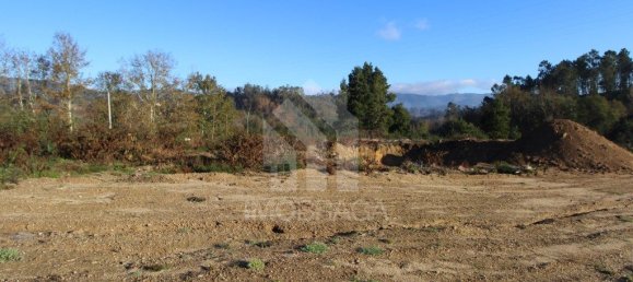 Terrain à Povoa de Lanhoso, Portugal 307m² No. 80531 9