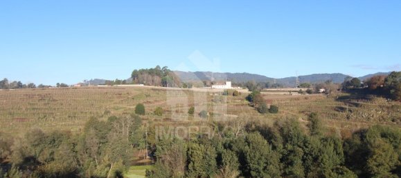 Terrain à Povoa de Lanhoso, Portugal 307m² No. 80531 17