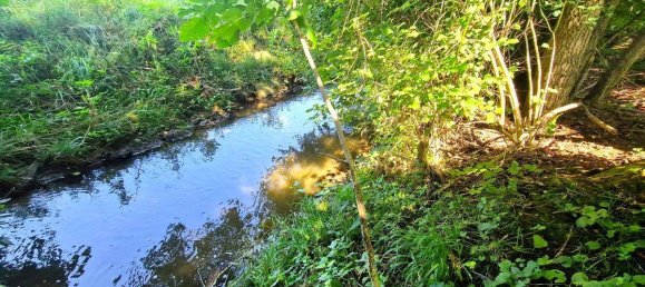 3000m² Land in Schwanenstadt, Austria No. 17875 3