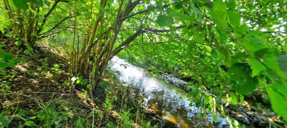 3000m² Land in Schwanenstadt, Austria No. 17875 2