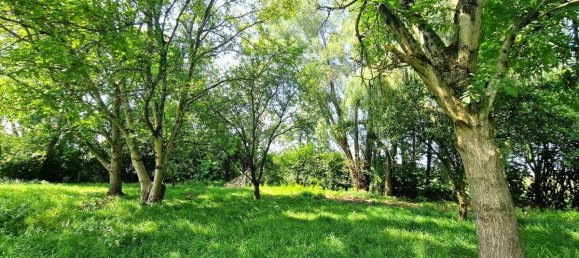 3000m² Land in Schwanenstadt, Austria No. 17875 4