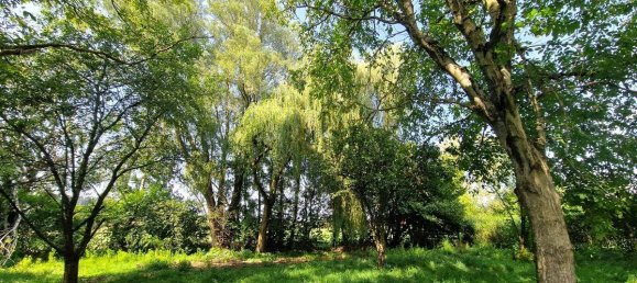 3000m² Land in Schwanenstadt, Austria No. 17875 5