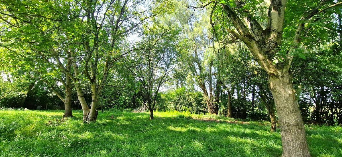 3000m² Land in Schwanenstadt, Austria No. 17875