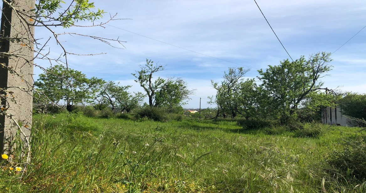 Земельный участок в Силвиш, Португалия № 316775