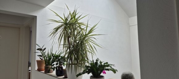 6 bedrooms Townhouse in Euskirchen, Germany No. 127363 6