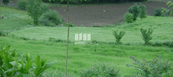 Terrain à Amarante, Portugal 7500m² No. 57436 3