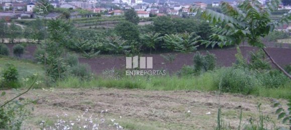 Terrain à Amarante, Portugal 7500m² No. 57436 7