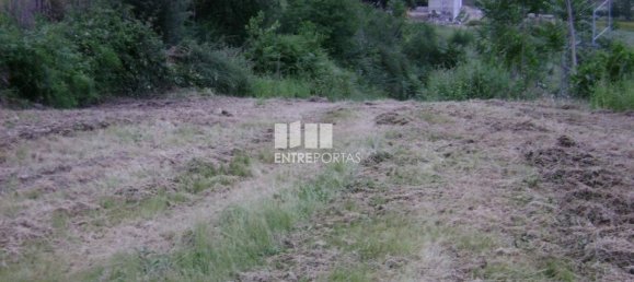 Terrain à Amarante, Portugal 7500m² No. 57436 5