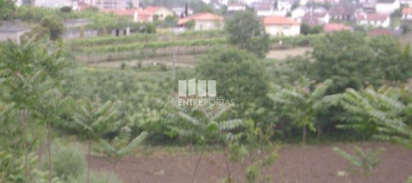 Terrain à Amarante, Portugal 7500m² No. 57436 8