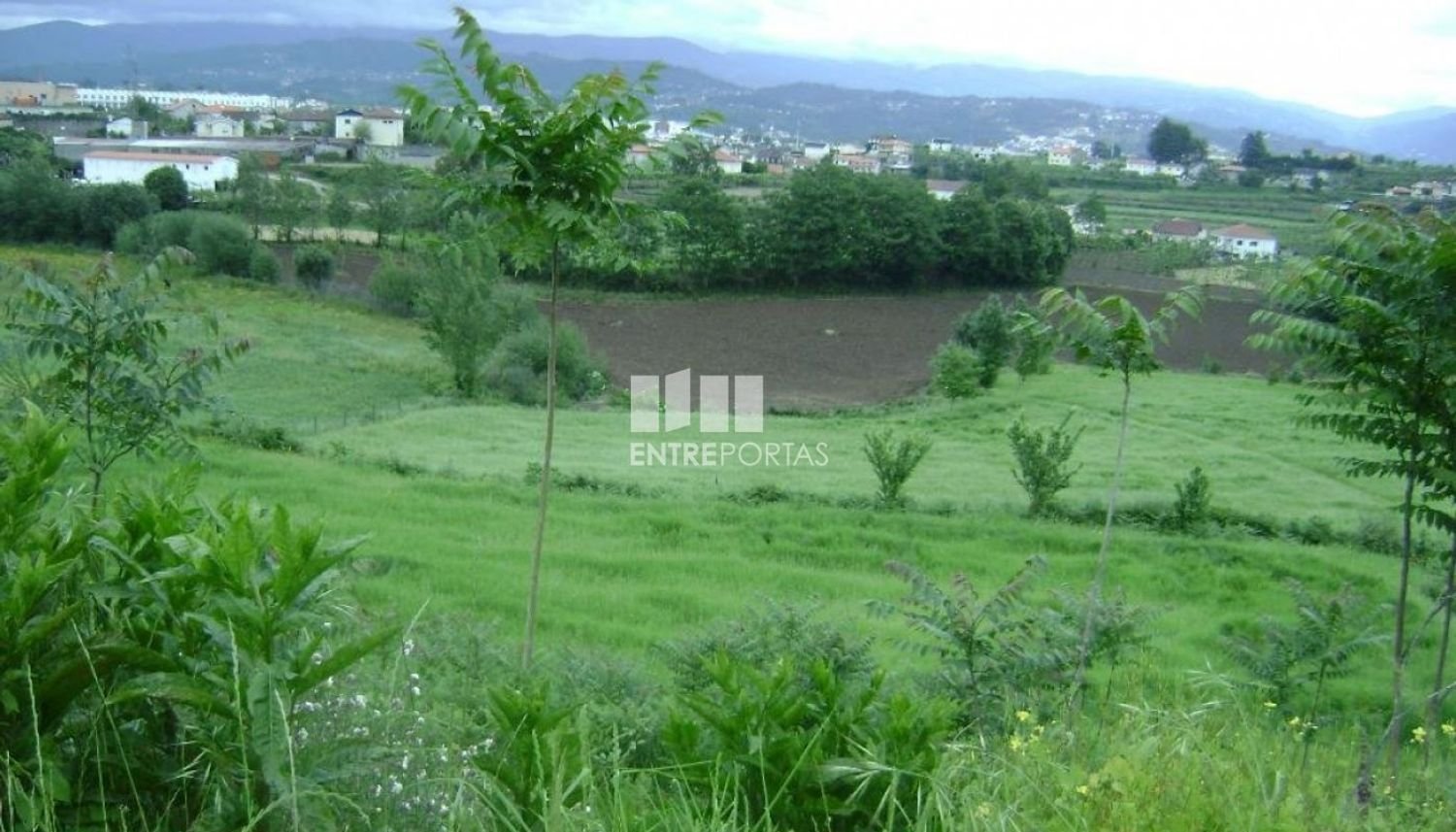 Terrain à Amarante, Portugal 7500m² No. 57436