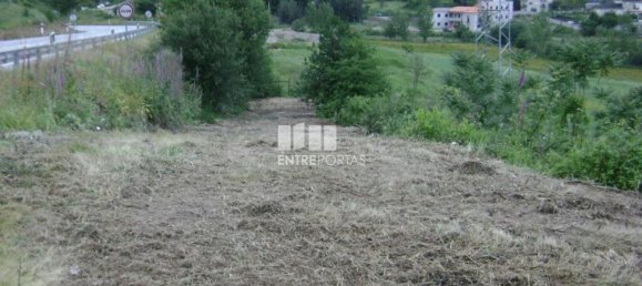 Terrain à Amarante, Portugal 7500m² No. 57436 6