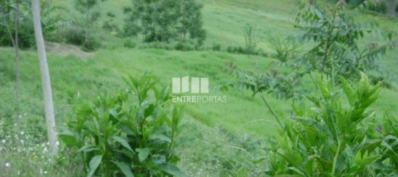 Terrain à Amarante, Portugal 7500m² No. 57436 2