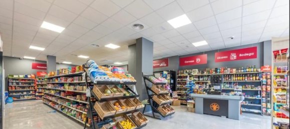 Gewerbliche Immobilie in Alicante, Spain 175m², Nr. 284682 6