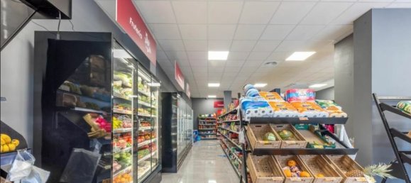 Gewerbliche Immobilie in Alicante, Spain 175m², Nr. 284682 7