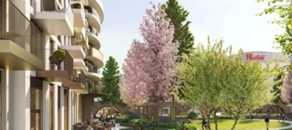 Studio in White City, United Kingdom No. 3446 44