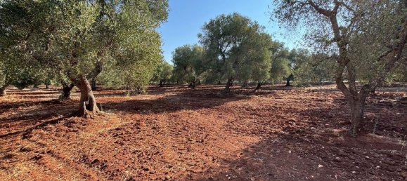 7 rooms House in Ceglie Messapica, Italy No. 295426 2