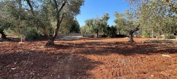 7 rooms House in Ceglie Messapica, Italy No. 295426 3