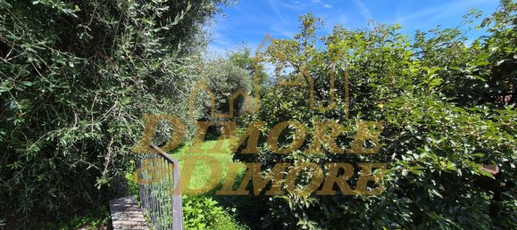 6غرفة فيلا في Arizzano, Italy رقم 298774 6