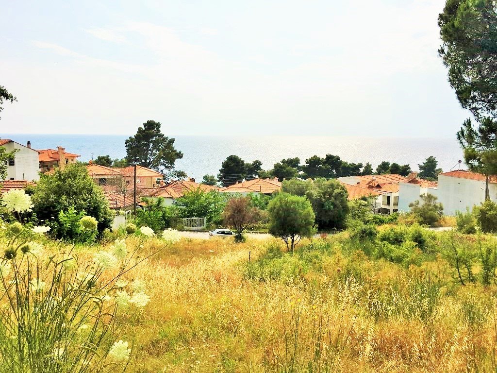 1330 m² hotel en venta en Chalkidiki, Central Macedonia, Macedonia and Thrace, Greece № 6177