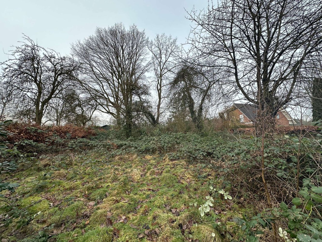  Land in Schleswig-Holstein, Germany No. 10124