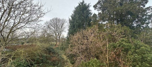  Land in Schleswig-Holstein, Germany No. 10124 4