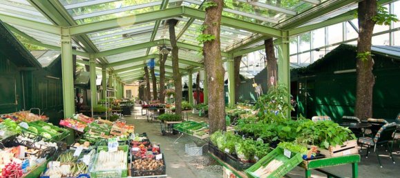 Villa de 12 habitaciónes en Baden, Austria No. 122809 30