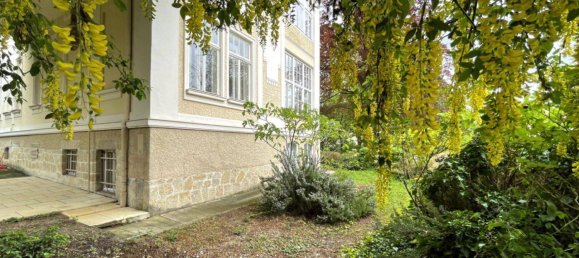 Villa de 12 habitaciónes en Baden, Austria No. 122809 22