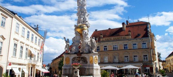 Villa de 12 habitaciónes en Baden, Austria No. 122809 29