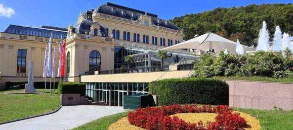 Villa de 12 habitaciónes en Baden, Austria No. 122809 27