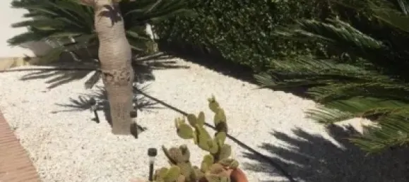 2 bedrooms Apartment in Aguilas, Spain No. 105896 31