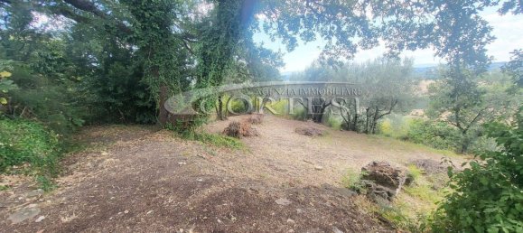 Villa de 10 habitaciónes en Torgiano, Italy No. 299693 24