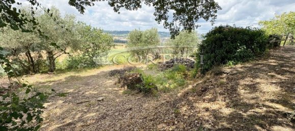 Villa de 10 habitaciónes en Torgiano, Italy No. 299693 23
