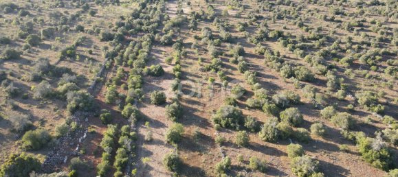  Land in Sao Bartolomeu de Messines, Portugal No. 44809 12