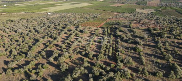  Land in Sao Bartolomeu de Messines, Portugal No. 44809 10