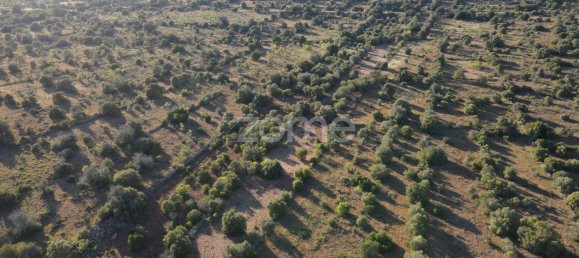  Land in Sao Bartolomeu de Messines, Portugal No. 44809 14