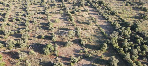  Land in Sao Bartolomeu de Messines, Portugal No. 44809 6