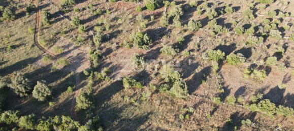 Land in Sao Bartolomeu de Messines, Portugal No. 44809 8