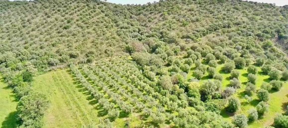 Дом с 4 спальнями в Чиниджано, Италия № 214889 3