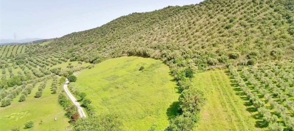 Дом с 4 спальнями в Чиниджано, Италия № 214889 2