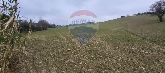 1غرفة قطعة أرض في Jesi, Italy رقم 7544 6