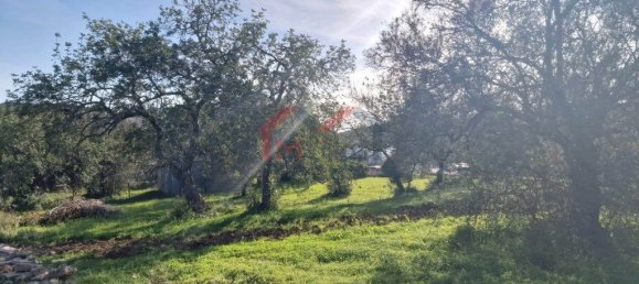 Terreno em São Brás de Alportel, Portugal 2432 m² N.º 31344 3